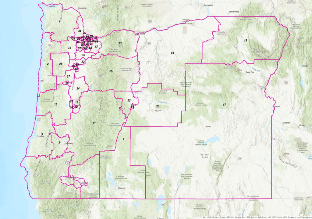 Redistricting map